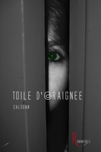 TOILEDARAIGNEEune