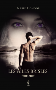 Les Ailes Brisées