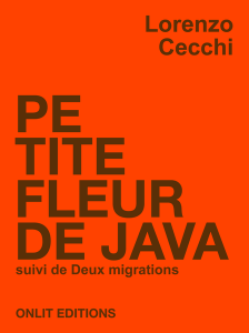 onlit_47_java_2D_grande