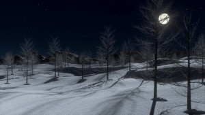 neige nocturne