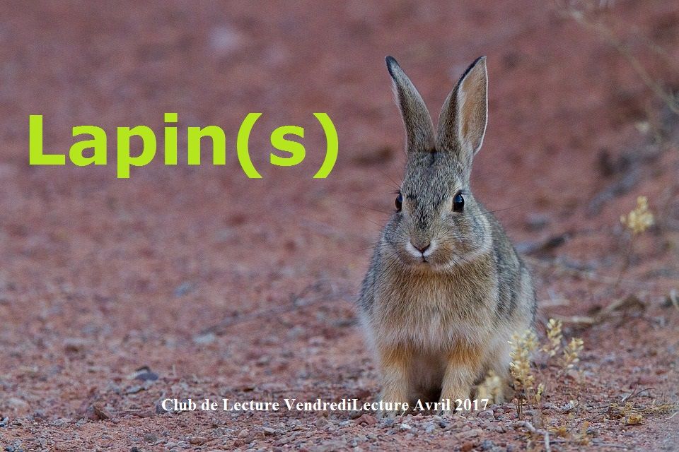 CLVL-Avril-2017 Lapin(s)